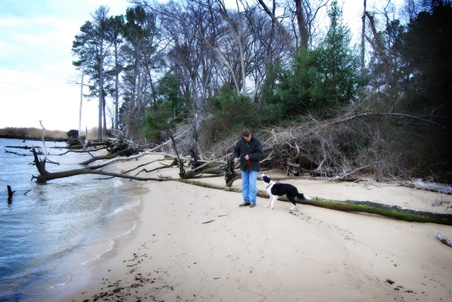 [DSC_0144 copy2[4].jpg]